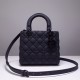 DIOR Canage Lady Hand Bag Calfskin DOB018