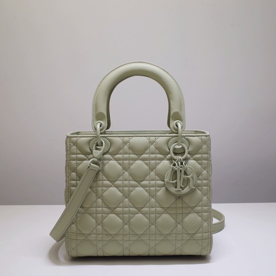 DIOR Canage Lady Hand Bag Calfskin DOB018