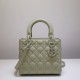 DIOR Canage Lady Hand Bag Calfskin DOB018