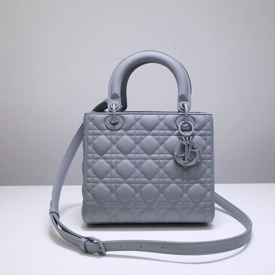 DIOR Canage Lady Hand Bag Calfskin DOB018