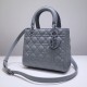 DIOR Canage Lady Hand Bag Calfskin DOB018