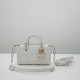 DIOR LADY D-JOY MICRO BAG DOB032