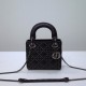 DIOR Leather Stud Mini Hardware Lady Shoulder Bag DOB034