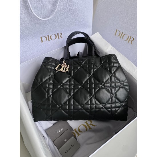 DIOR Medium Toujours Bag DOB078