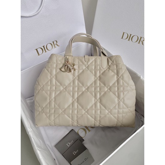 DIOR Medium Toujours Bag DOB078