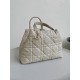 DIOR Medium Toujours Bag DOB078