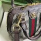 GUCCI Ophidia GG Mini Top Handle Bag GUB010