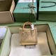 GUCCI  Dianasuper Mini Bag GUB023