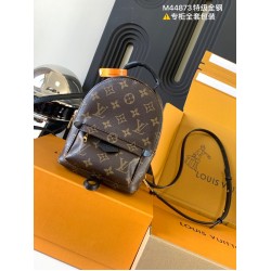 Louis Vuitton Monogram M44873 Palm Springs Mini LVB049