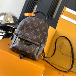 Louis Vuitton Monogram M44873 Palm Springs Mini LVB049