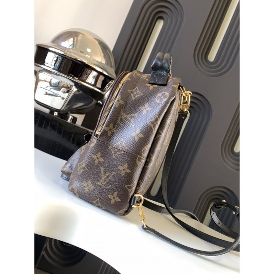 Louis Vuitton Monogram M44873 Palm Springs Mini LVB049