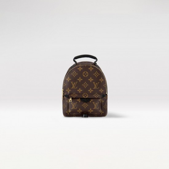 Louis Vuitton Mini Palm Springs Backpack M44873 LVB065