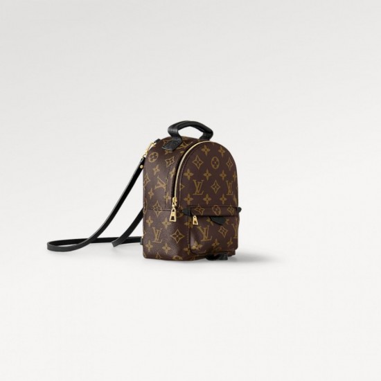 Louis Vuitton Mini Palm Springs Backpack M44873 LVB065